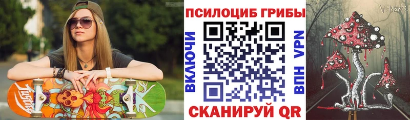 Псилоцибиновые грибы Psilocybine cubensis  Благовещенск 
